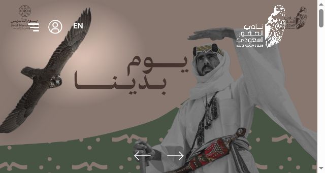 Screenshot of sfc.org.sa