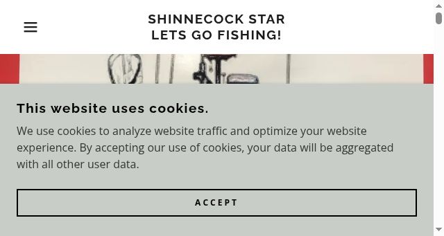 Screenshot of shinnecockstar.com