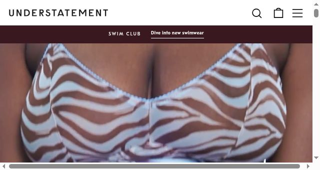 Screenshot of shopunderstatement.com