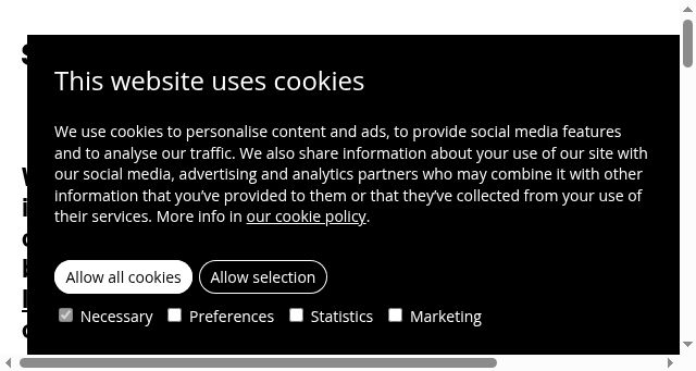 Screenshot of skinn.agency