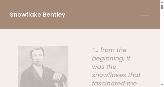 Screenshot of snowflakebentley.com