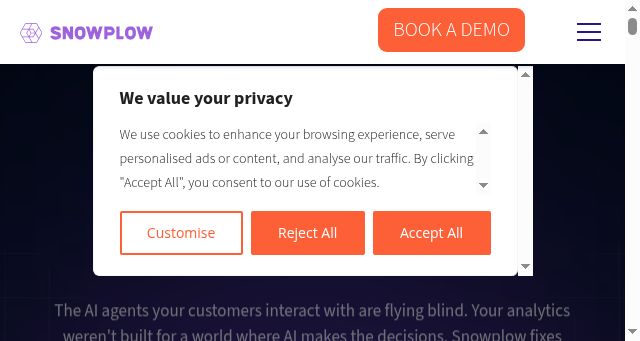 Screenshot of snowplow.io