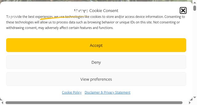 Screenshot of solidaridadnetwork.org