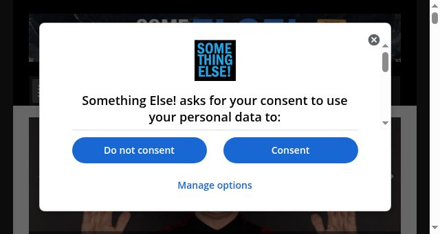 Screenshot of somethingelsereviews.com