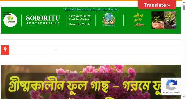 Screenshot of sororitu.com