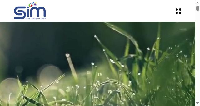 Screenshot of sosyalinovasyonmerkezi.com.tr