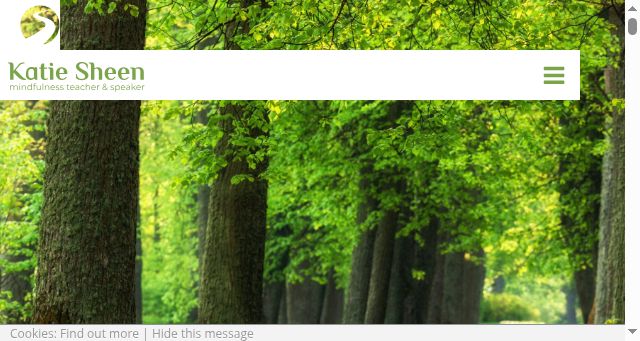 Screenshot of soulnutrition.org