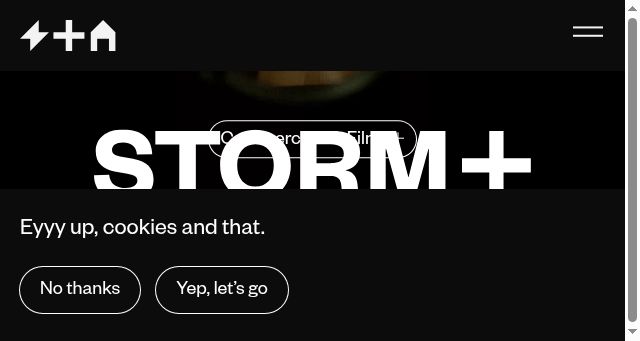 Screenshot of stormandshelter.com