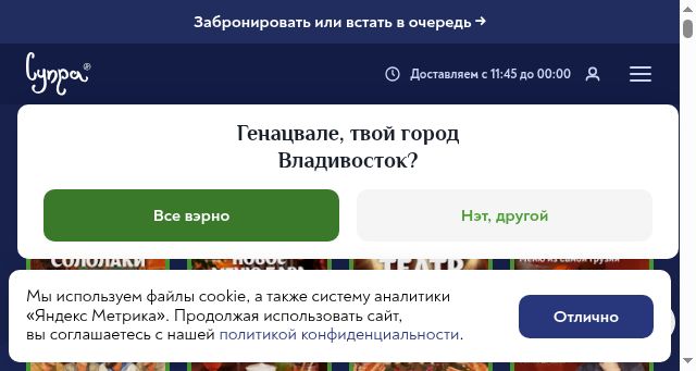 Screenshot of supravl.ru