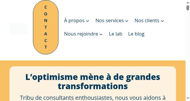Screenshot of suricats-consulting.com