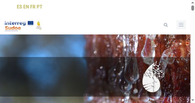 Screenshot of sust-forest.eu