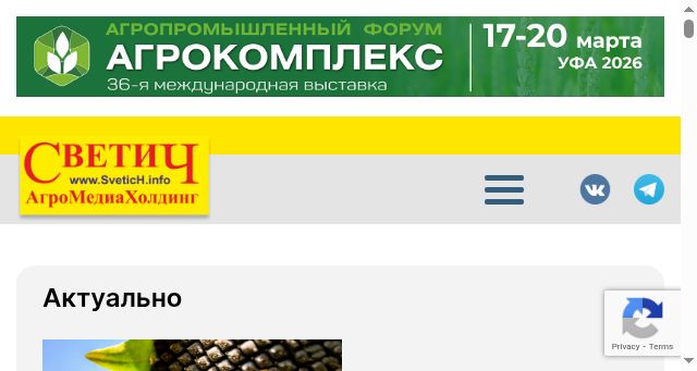 Screenshot of svetich.info