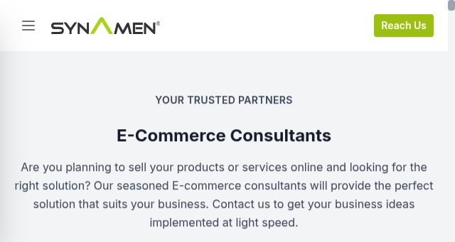 Screenshot of synamen.com