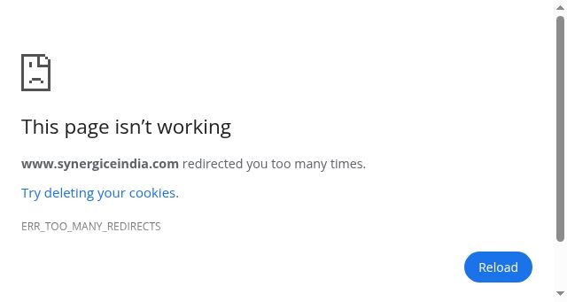 Screenshot of synergiceindia.com