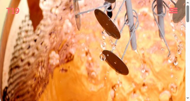 Screenshot of t19.ch