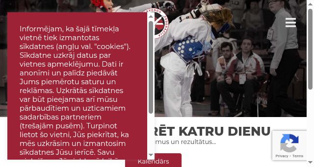 Screenshot of taekvondo.lv