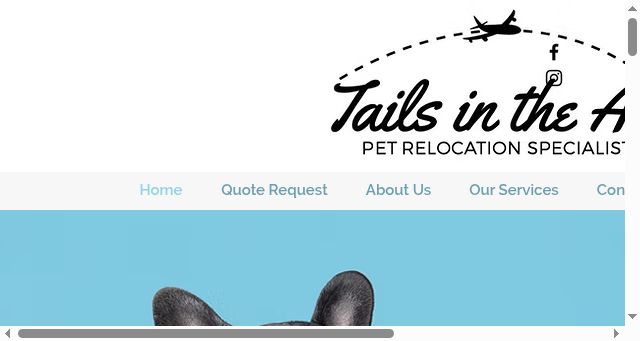 Screenshot of tailsintheair.com