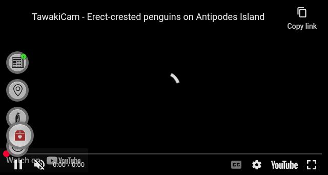 Screenshot of tawaki.cam