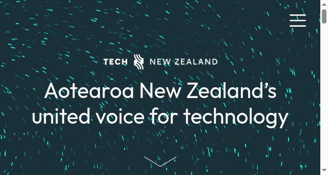 Screenshot of technewzealand.org.nz