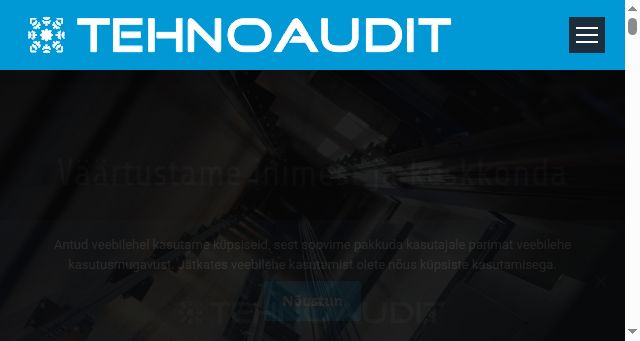 Screenshot of tehnoaudit.ee