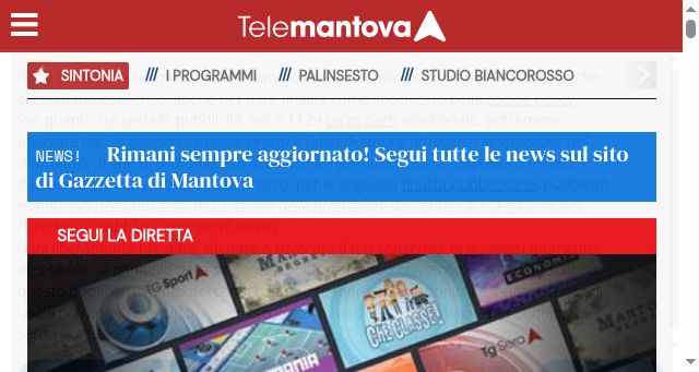 Screenshot of telemantova.it