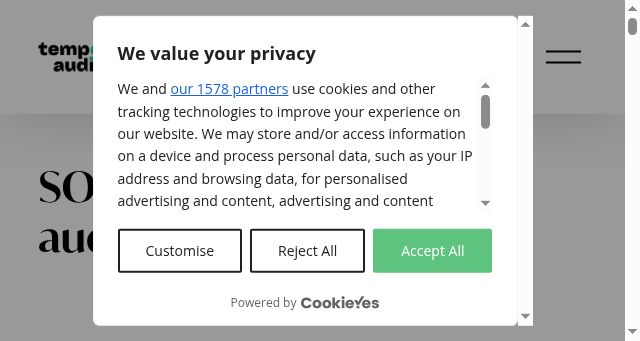 Screenshot of tempoaudits.com