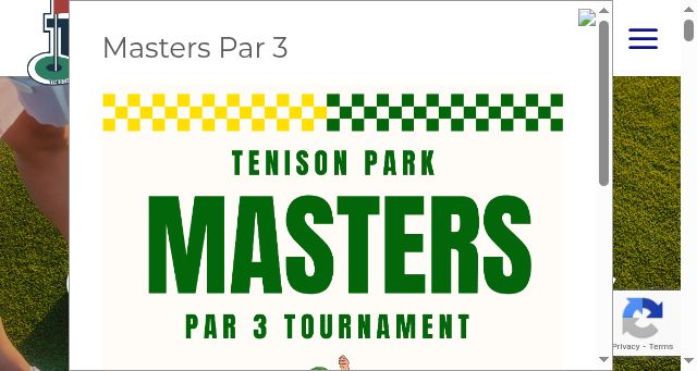 Screenshot of tenisonpark.com