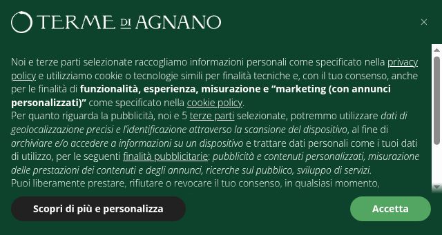 Screenshot of terme-di-agnano.it