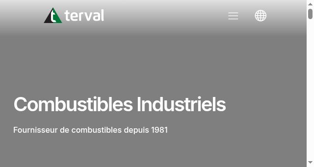 Screenshot of terval.com