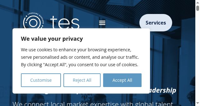 Screenshot of tes-international.net