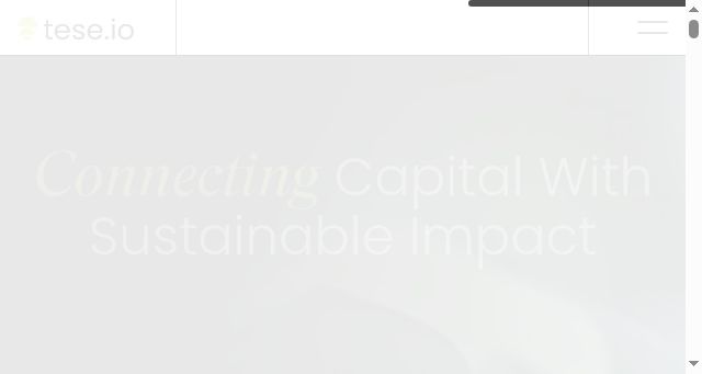 Screenshot of tese.io