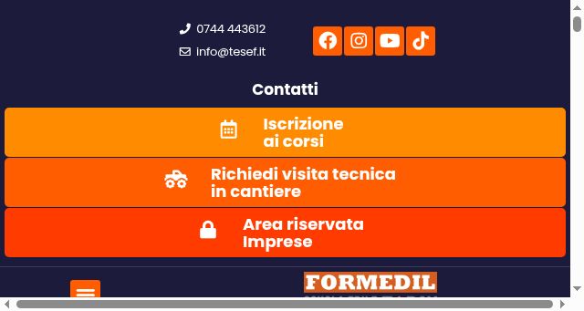 Screenshot of tesef.it