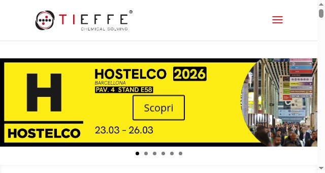 Screenshot of tf-cleaning.it