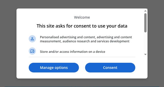 Screenshot of thebusyvegetarian.com