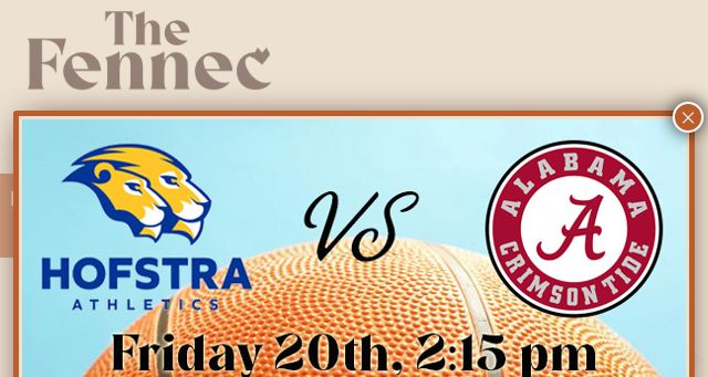 Screenshot of thefennecbham.com