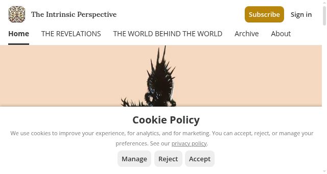 Screenshot of theintrinsicperspective.com