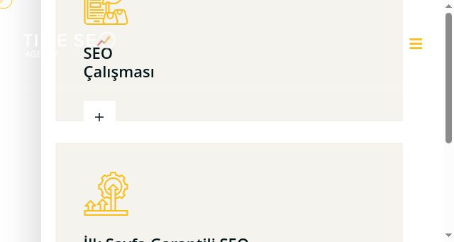 Screenshot of timeseoagency.com.tr