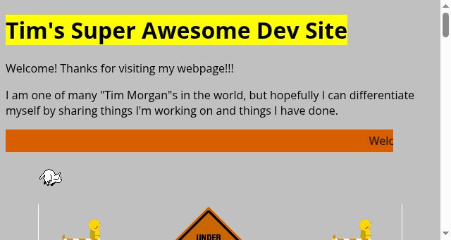 Screenshot of timmorgan.dev