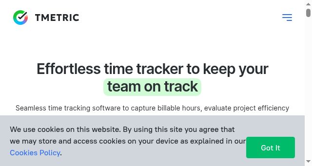 Screenshot of tmetric.com
