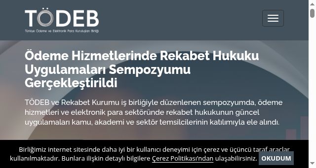 Screenshot of todeb.org.tr
