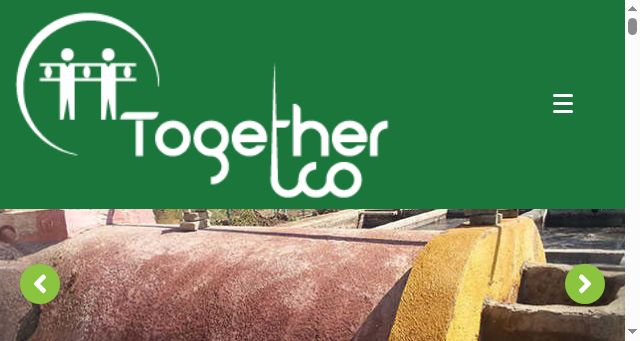 Screenshot of together-eg.com