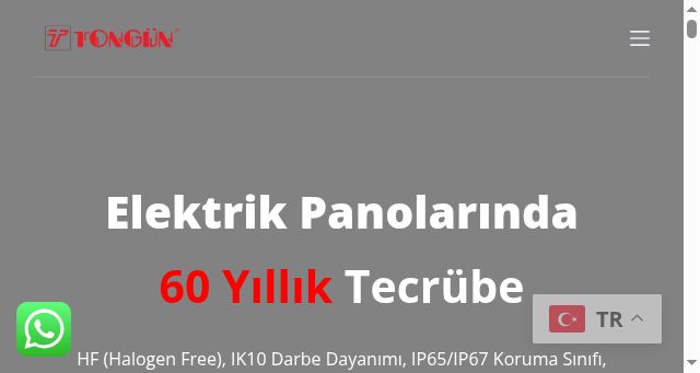 Screenshot of tongunpano.com