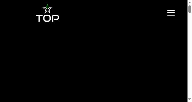 Screenshot of topintermediazioni.it