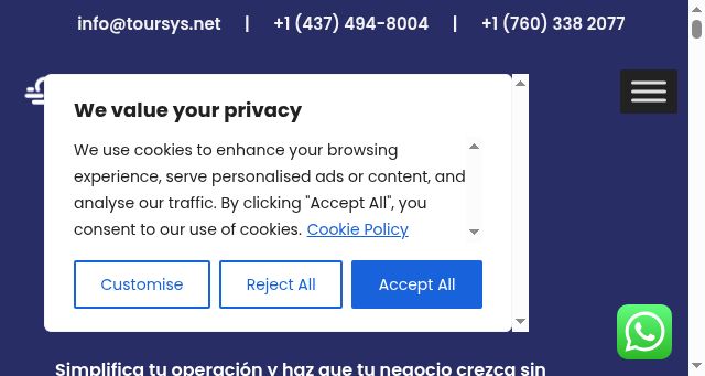 Screenshot of toursys.net