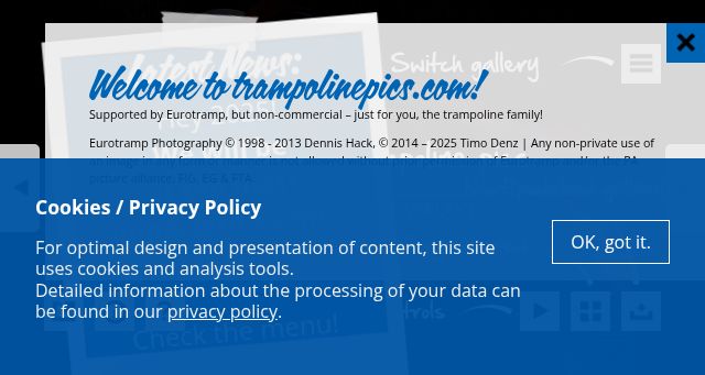 Screenshot of trampolinepics.com