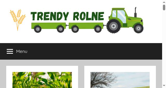 Screenshot of trendyrolne.pl