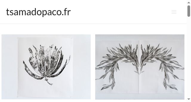 Screenshot of tsamadopaco.fr