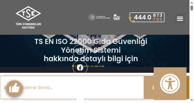 Screenshot of tse.org.tr