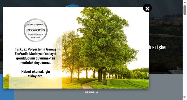 Screenshot of turkuazpolyester.com.tr