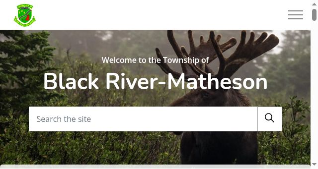 Screenshot of twpbrm.ca